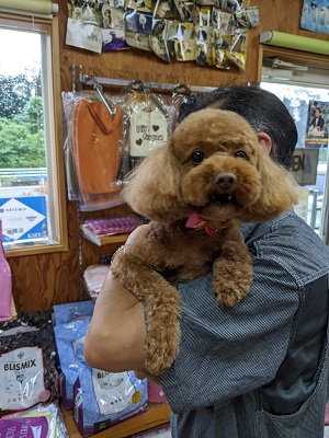 吉間あんずちゃん